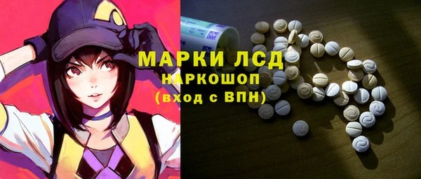 стафф Арсеньев