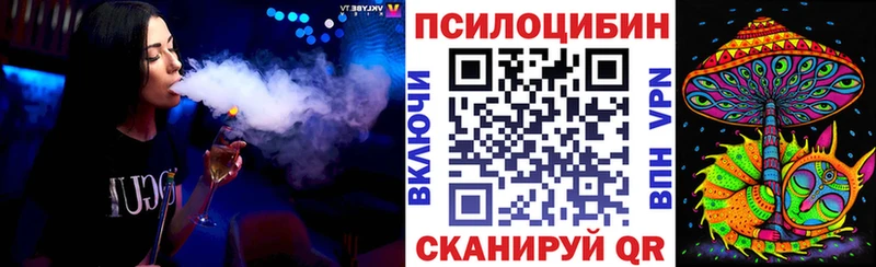 Купить закладки  Котлас  Псилоцибиновые грибы Magic Shrooms 