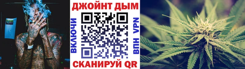 Канабис сатива  Купить закладки  Котлас 